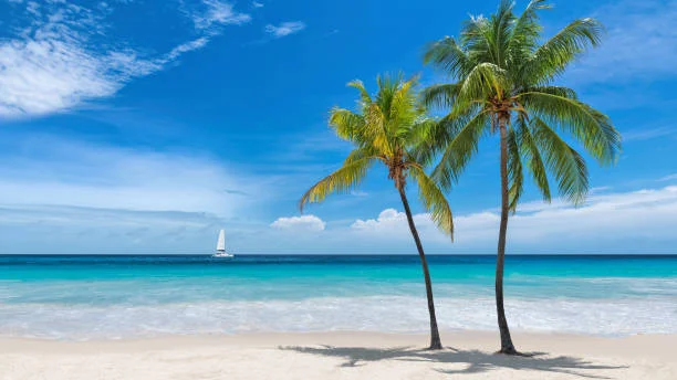 A tropical island representing a holiday savings goal
