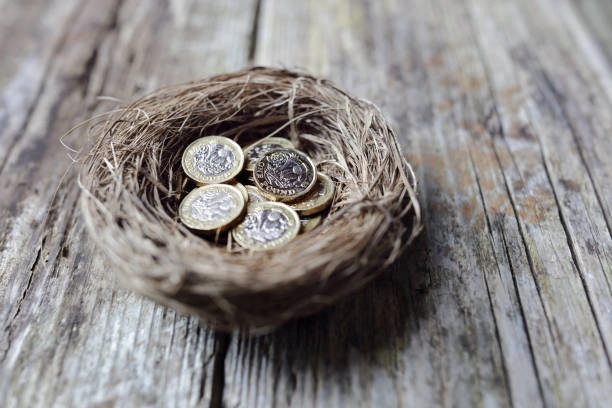 Nest egg representing savings accounts