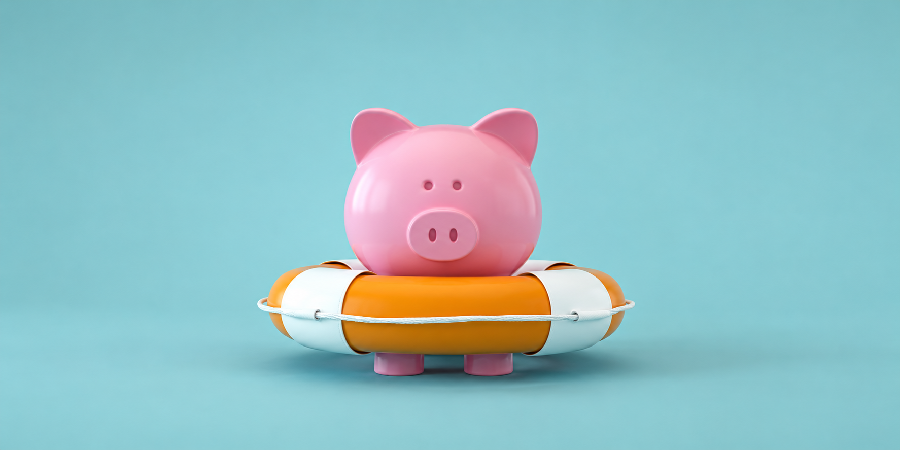Protected savings representing cash kept for short-term needs